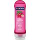 Control Thai Passion Intimacy & Moisturizing Massage Gel Lubricante ideal para añadir un extra de sensualidad y estimulación con aroma a notas florales 200 ml