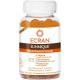 Ecran Sunnique Preparador Solar Gummies de fotoprotección prepara la piel antes de la exposición y contribuye al bronceadora 60 uds